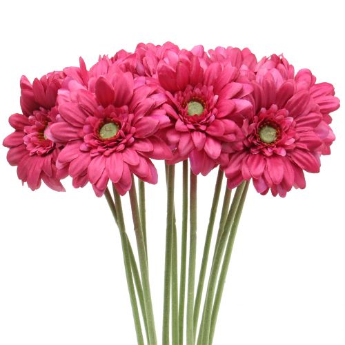 Gerbera Rose 48cm 12pcs