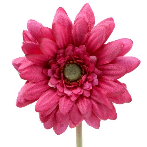 Article Gerbera Rose 48cm 12pcs