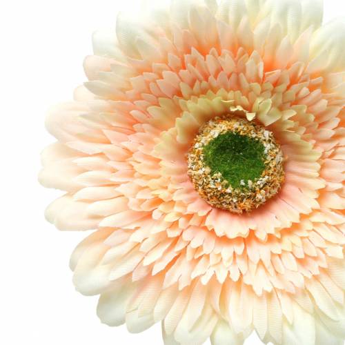 Floristik24 Gerbera artificiel Pêche 62cm 6pcs