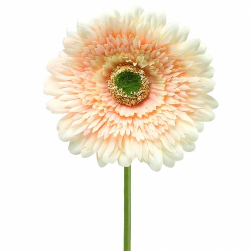 Floristik24 Gerbera artificiel Pêche 62cm 6pcs