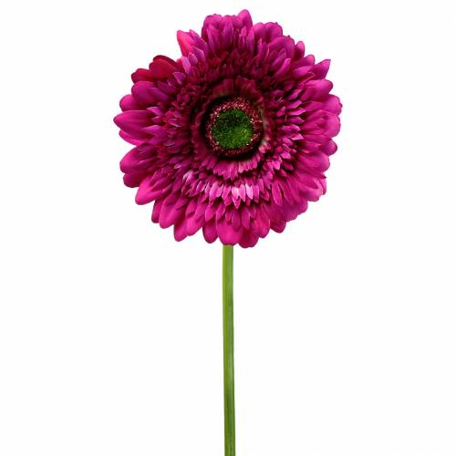 Floristik24 Gerbera artificiel Violet 62cm 6pcs