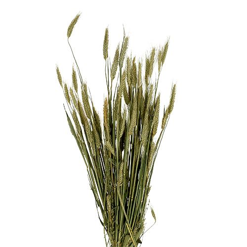 Floristik24 Décoration de grains d&#39;orge décoration sèche naturelle bouquet de 80 cm 1 pièce