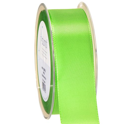Floristik24 Ruban cadeau et décoration 40 mm x 50 m vert clair