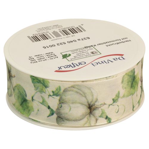 Article Ruban cadeau citrouille vert automne 40 mm 15 m