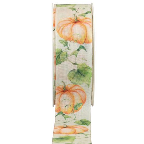 Floristik24 Ruban cadeau ruban citrouille automne orange 40mm 15m