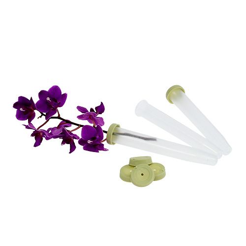 Floristik24 Tubes de rangement 10x1,6cm 100 pièces