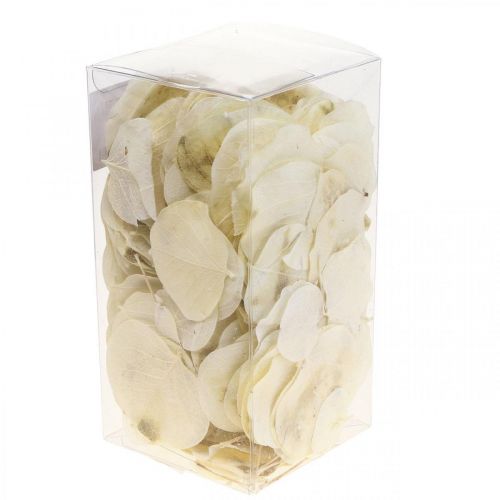 Article Feuilles séchées Deco Moneta Crème Floristique Sèche 100g