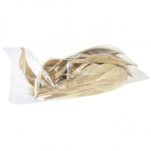 Article Coquilles de noix de coco, feuilles de noix de coco blanchies, 22-42 cm, 25 pièces
