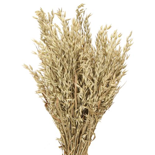 Floristik24 Avoine séchée bouquet décoratif bouquet décoratif naturel 60cm 200g