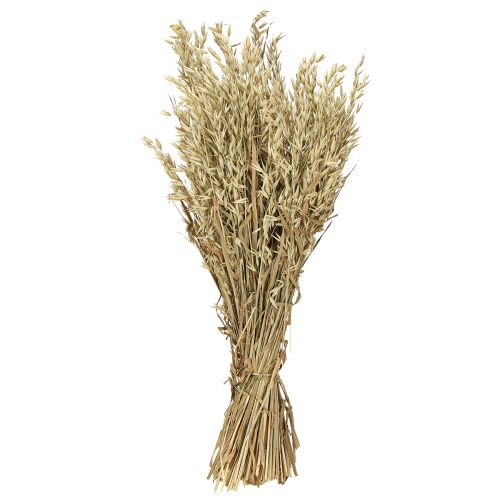 Article Avoine séchée bouquet décoratif bouquet décoratif naturel 60cm 200g