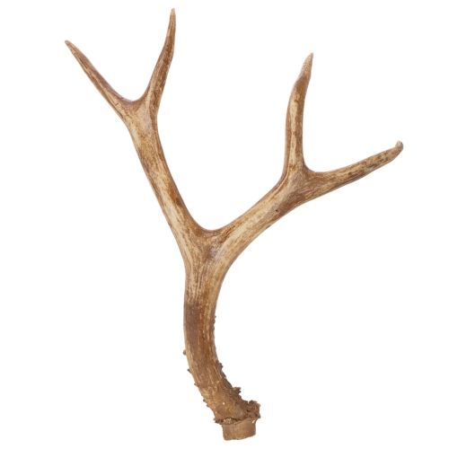 Geweihe décoratif en résine 32 cm tons naturels pour intérieur acheter | Floristik24.fr