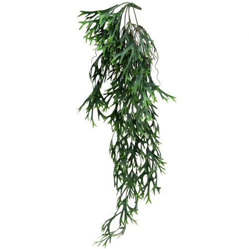 Floristik24 Bois de fougère à suspendre 84cm