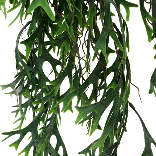 Floristik24 Bois de fougère à suspendre 84cm
