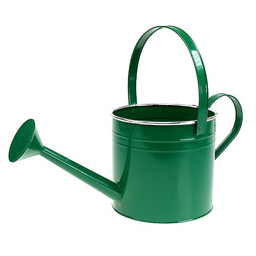 Floristik24 Arrosoir de décoration vert foncé Ø 20 cm H. 18 cm