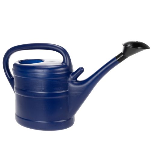 Floristik24 Arrosoir de 10 L, arrosoir de jardin avec pommeau, arrosoir de jardin bleu