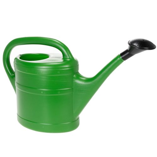 Floristik24 Arrosoir pour jardin et balcon, accessoire d'entretien des plantes 5L