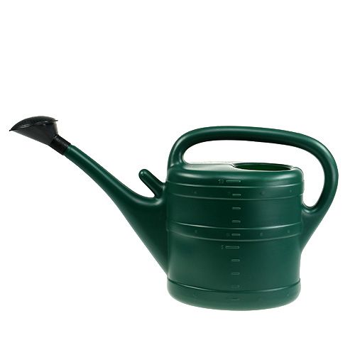 Floristik24 Arrosoir 10L vert foncé