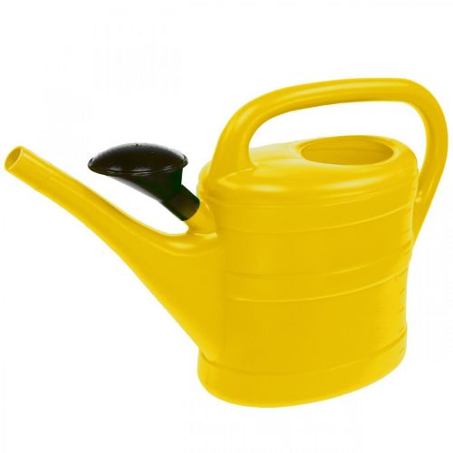 Floristik24 Arrosoir 10l jaune