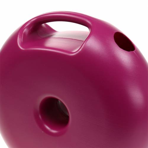 Floristik24 Arrosoir Donut Pink 4.8l