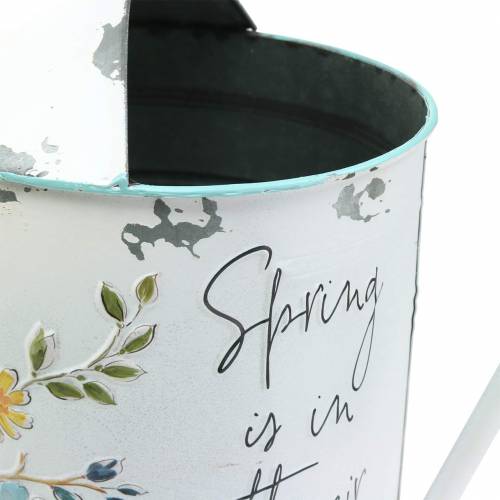 Floristik24 Arrosoir décoratif à motif de fleurs et dire métal Ø21.5cm H43cm