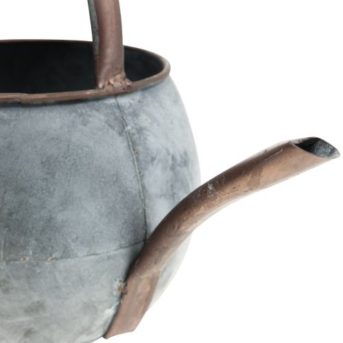 Floristik24 Arrosoir décoratif à planter, jardinière 29,5cm H22cm
