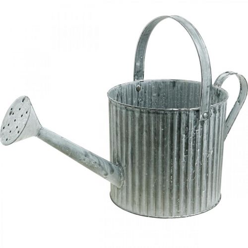 Floristik24 Arrosoir à planter, pot métallique décoratif, jardinière Ø19,5cm