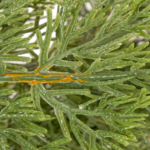 Guirlande de Sapin Artificiel Verte 200 cm pour Décoration Intérieure | Floristik24.fr