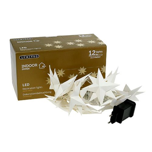 Floristik24 Guirlande avec étoiles en papier 12 amp. blanc chaud 220 cm