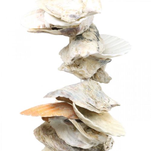 Floristik24 Guirlande de coquillages, décoration estivale maritime, chaîne de coquillages naturels couleurs naturelles L35cm