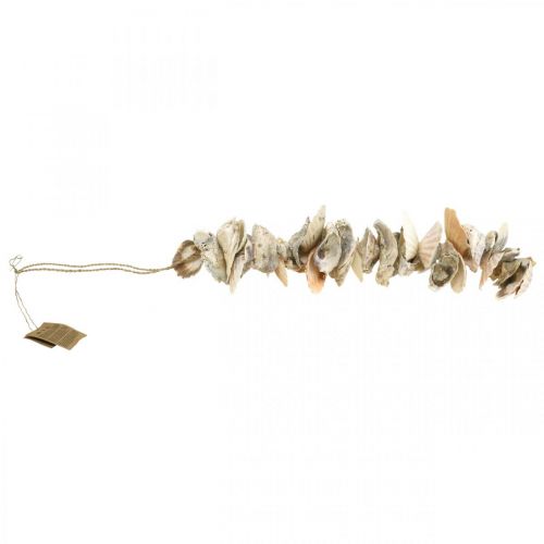 Floristik24 Guirlande de coquillages, décoration estivale maritime, chaîne de coquillages naturels couleurs naturelles L35cm
