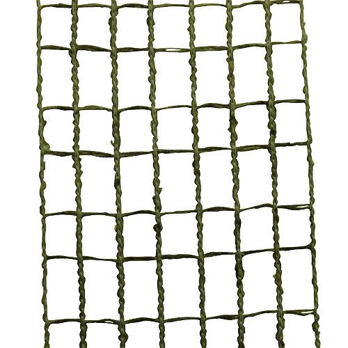 Floristik24 Ruban grillagé vert mousse 4,5 cm x 10 m