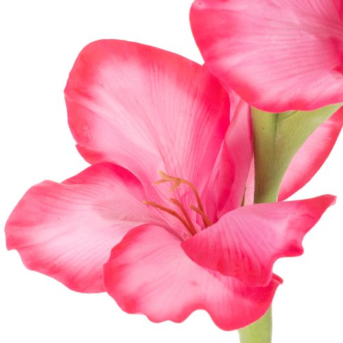 Kalligraphie de Gladiole Artificielle avec Fleurs Décoratives Rose 88 cm | Floristik24.fr