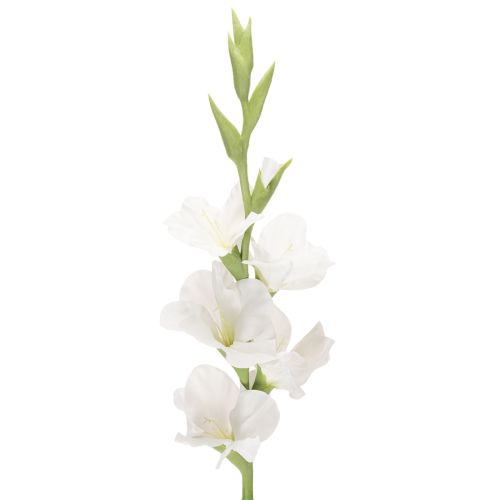 Gladiolus artificielle blanche, tige longue 88 cm, décoration intérieure acheter | Floristik24.fr