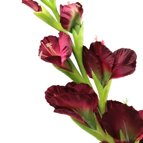 Floristik24 Glaïeul bordeaux effet Real Touch 93 cm