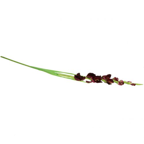 Floristik24 Glaïeul bordeaux effet Real Touch 93 cm