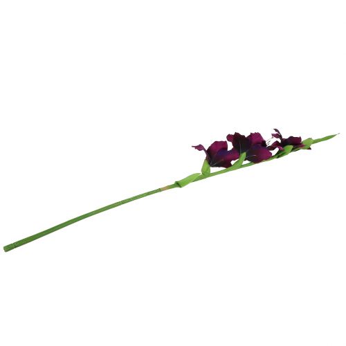 Floristik24 Glaïeul violet foncé 86cm