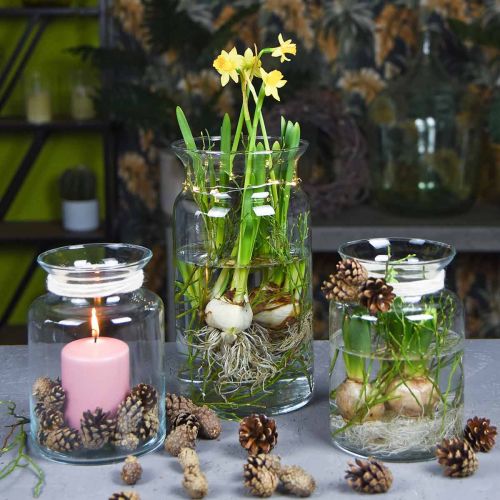 Article Vase à fleurs en verre large transparent Ø12cm H20cm