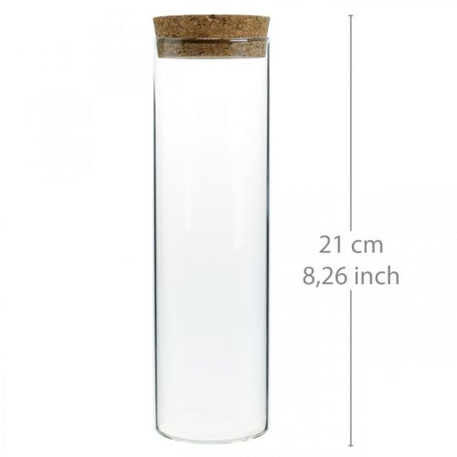 Floristik24 Verre avec couvercle en liège Cylindre en verre avec bouchon Clair Ø6cm H21cm