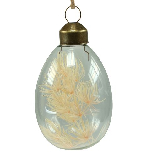 Floristik24 Oeufs de Pâques en verre à suspendre oeufs de fleurs séchées 6cm 6 pcs