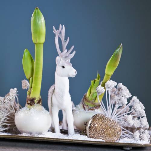 Floristik24 Décorations pour sapin de Noël gland à suspendre métal verre doré 7cm 4pcs