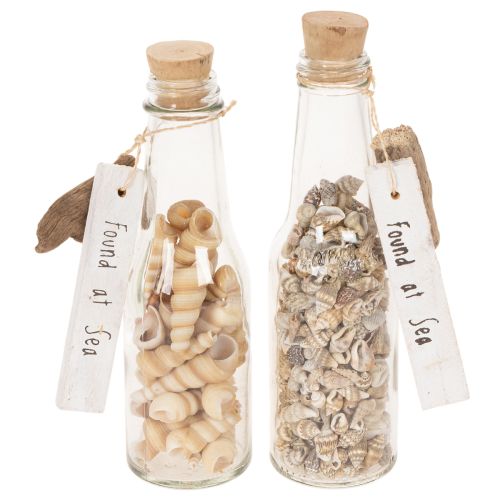 Set de 2 bouteilles en verre déco avec coquillages et bouchon en liège, 17 cm | Floristik24.fr