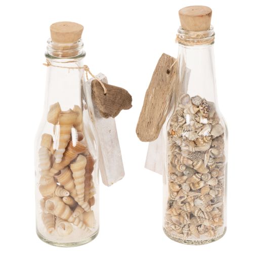 Set de 2 bouteilles en verre décoratives avec coquillages et bouchon en liège 17 cm | Floristik24.fr