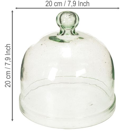 Cloche en verre recyclé avec bouton, transparente, hauteur 20 cm | Floristik24.fr