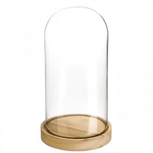 Floristik24 Cloche en verre avec assiette, dôme en verre, décoration hotte en verre H21cm