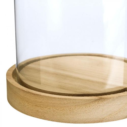 Article Cloche en verre avec assiette, dôme en verre, décoration hotte en verre H21cm