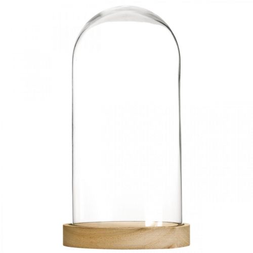 Floristik24 Cloche en verre avec assiette, dôme en verre, décoration hotte en verre H21cm