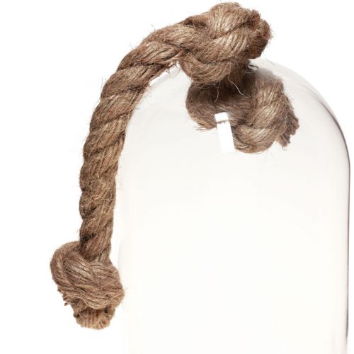 Floristik24 Décoration cloche en verre avec socle aspect béton Ø13,5cm H24cm