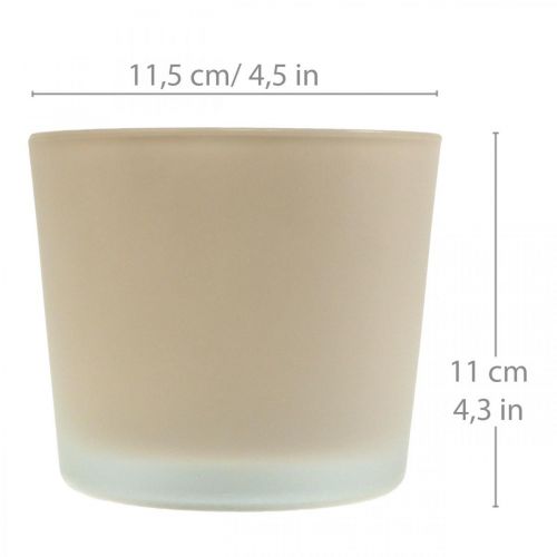 Article Pot de fleur en verre jardinière beige pot en verre Ø11,5cm H11cm