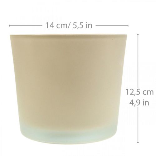 Article Cache-pot en verre Jardinière beige Jardinière en verre Ø14.5cm H12.5cm