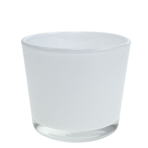 Floristik24 Cache-pot en verre blanc Ø10cm H8.5cm